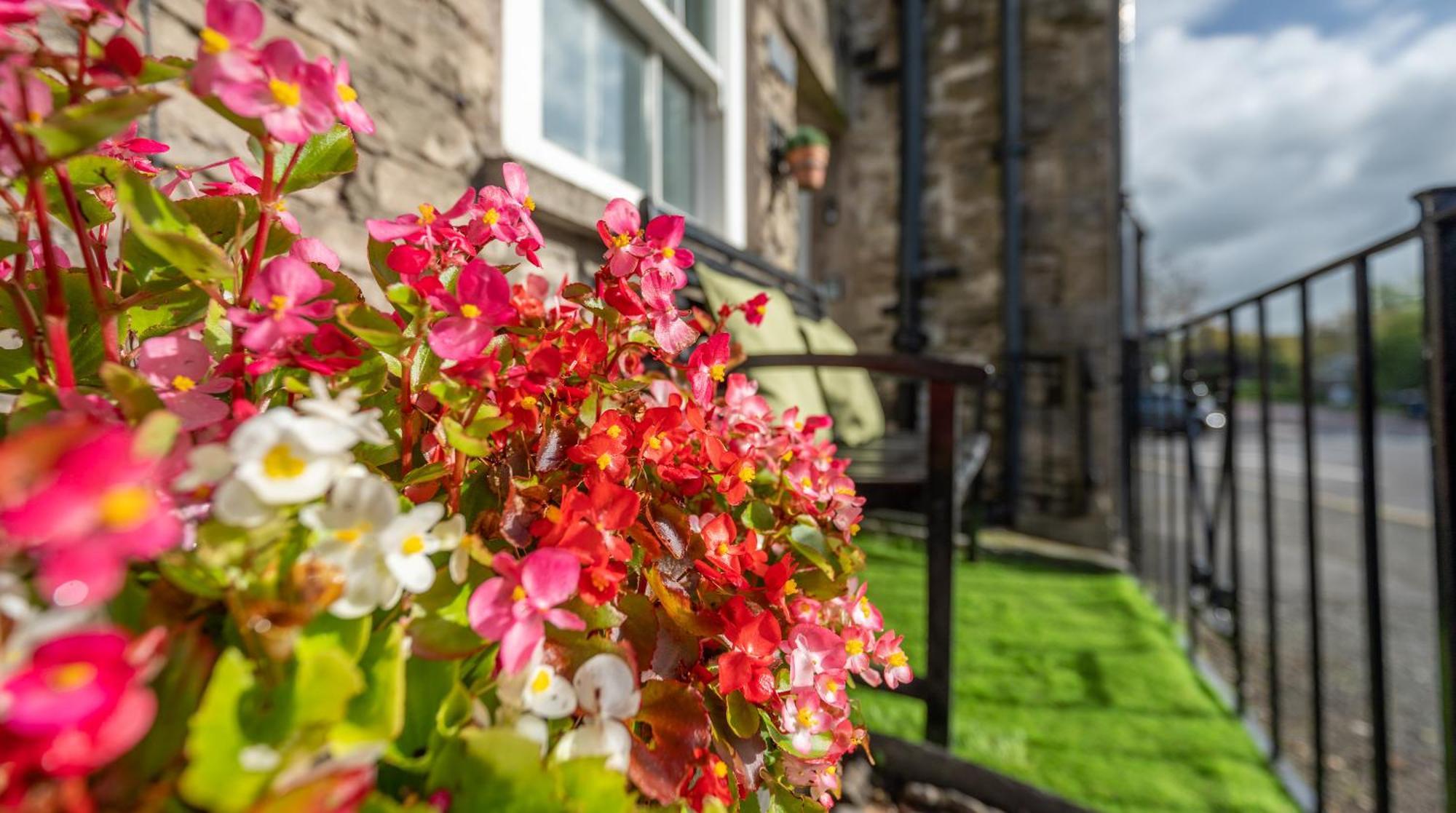 Wee Toad Hole Heart Of Kendal - Cottage Sleeps 4-6 - Dogs Welcome Екстер'єр фото